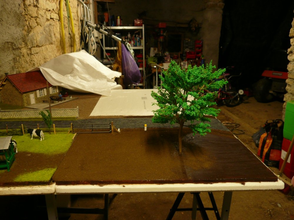 P1040823.JPG