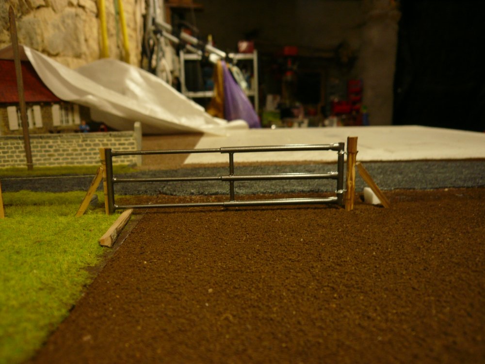 P1040824.JPG