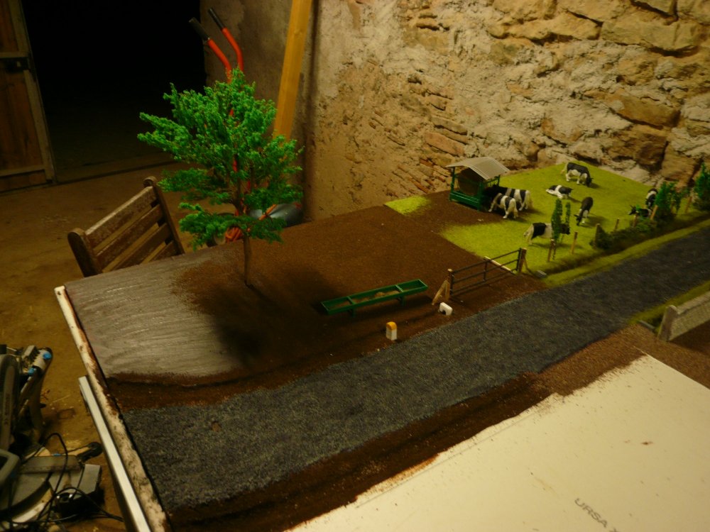 P1040827.JPG