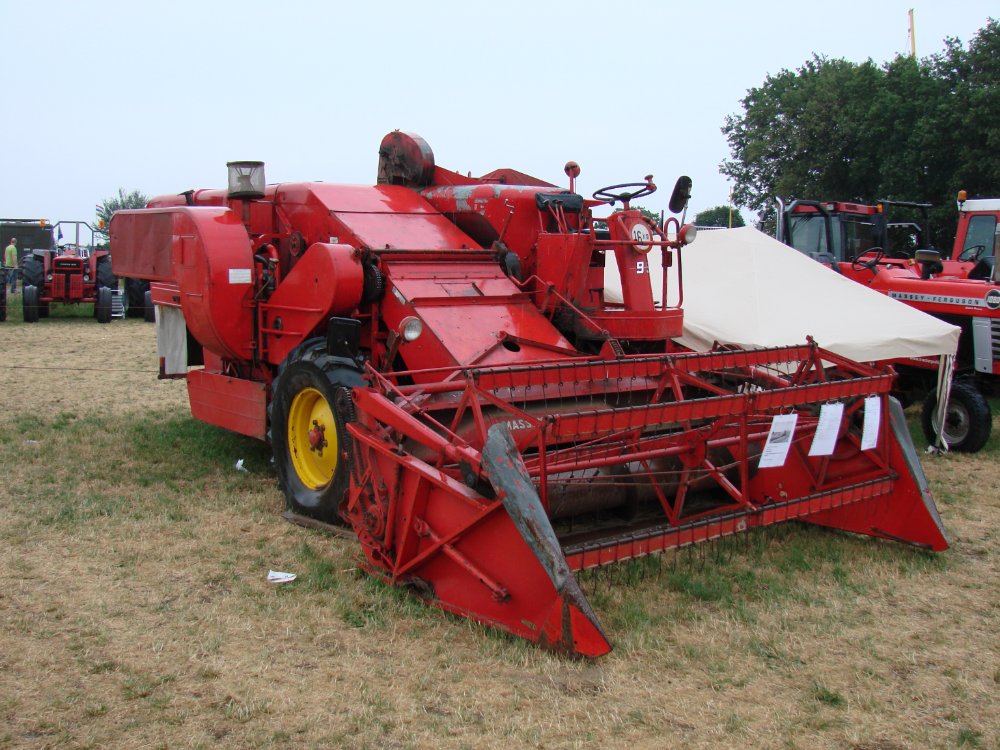 Massey Ferguson 99 (1).JPG