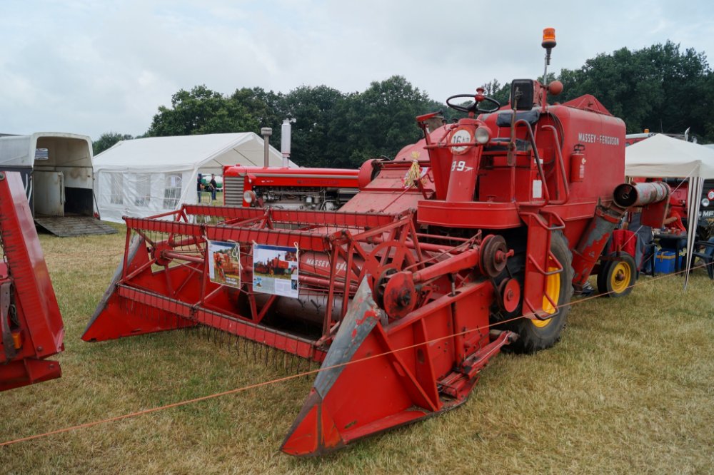 Massey Ferguson 99 (2).JPG