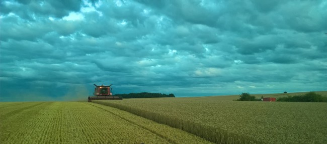 WP_20170729_21_14_17_Pro (2).jpg