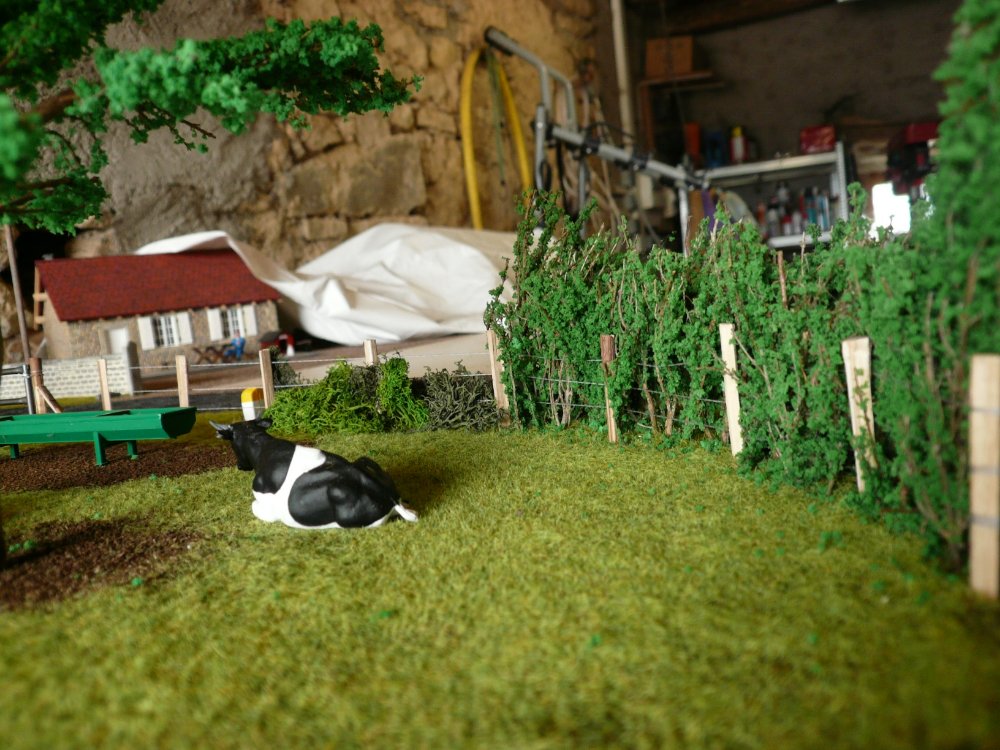 P1040853.JPG