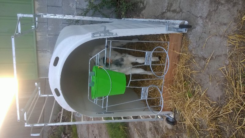 WP_20180901_004.jpg