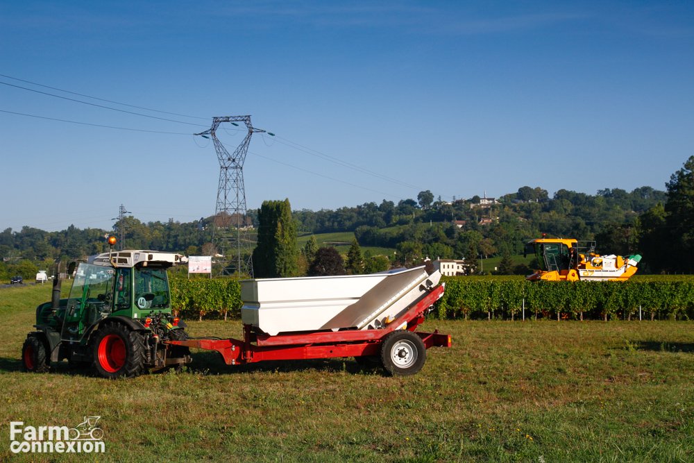 vendanges2-8523.jpg