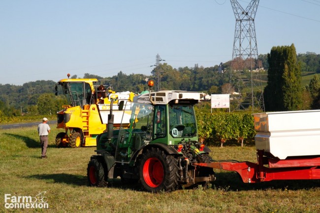 vendanges2-8545.jpg