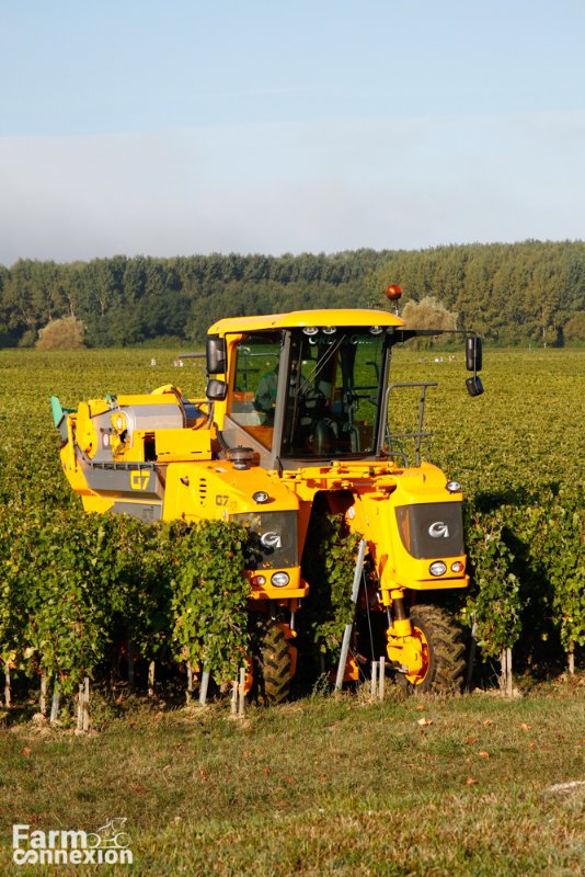 vendanges21-.jpg