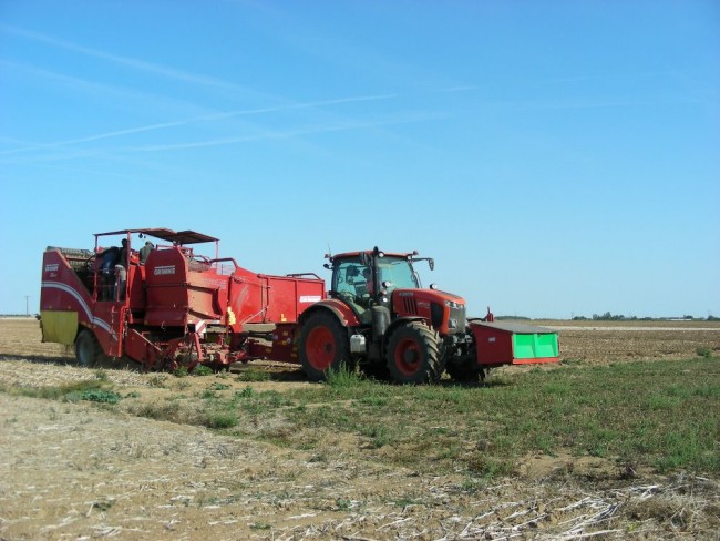 Kubota  (3).JPG