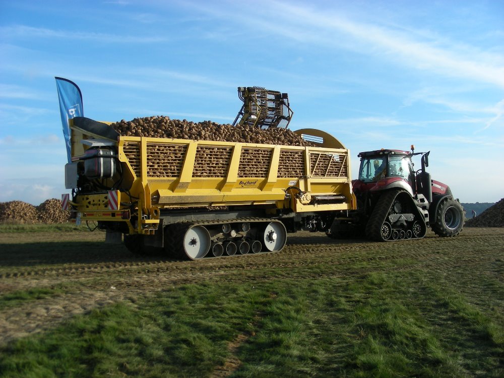 Brochard (1).JPG