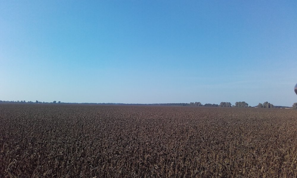 20180919_153522.jpg