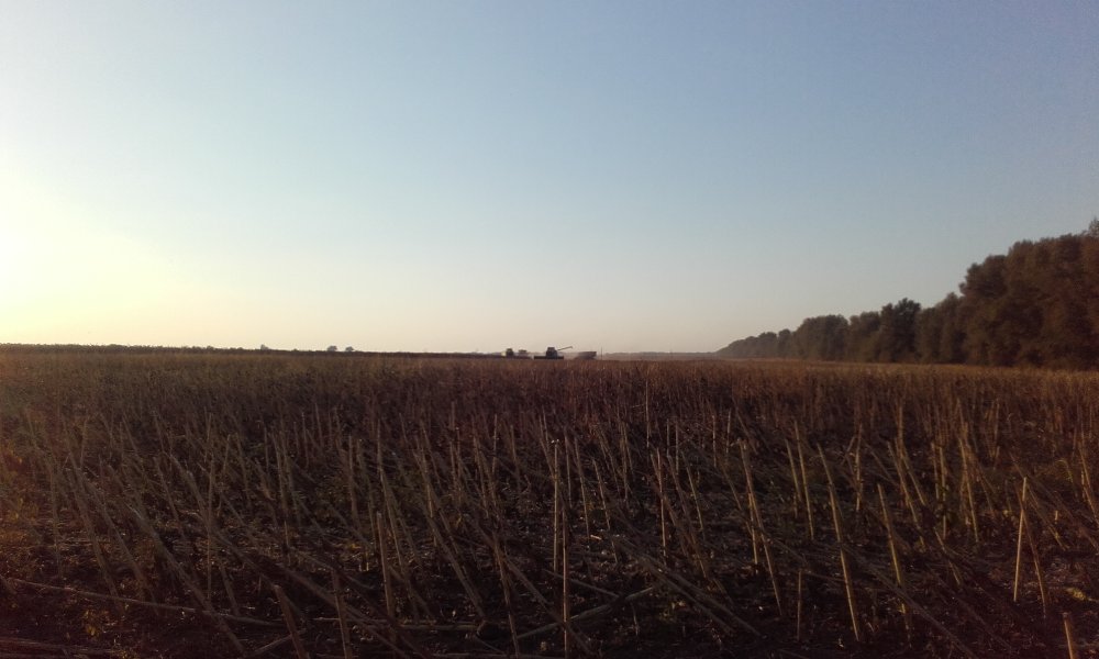 20180919_180400.jpg