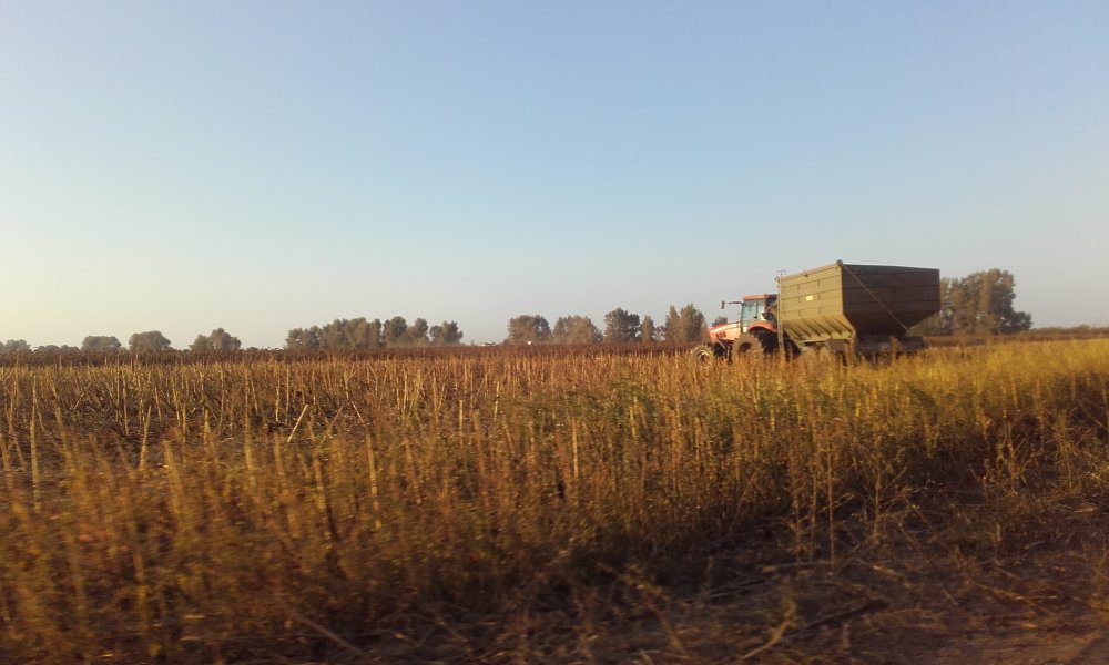 20180919_180443.jpg