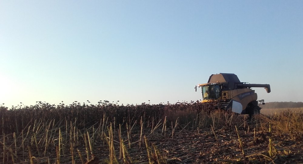 20180919_180242.jpg