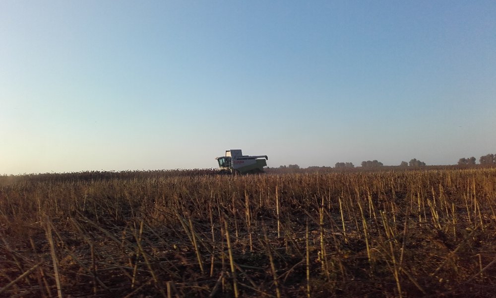 20180919_180507.jpg