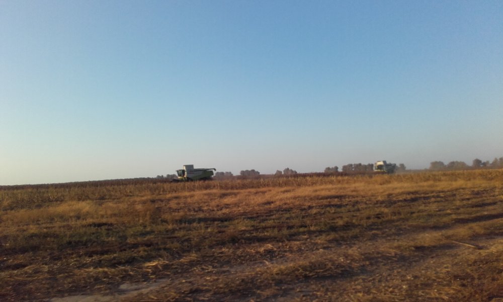 20180919_180520.jpg