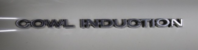 RB0A2407.JPG