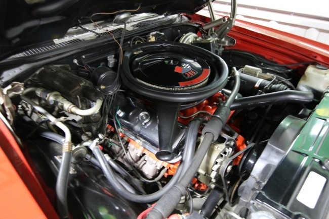 RB0A2408.JPG