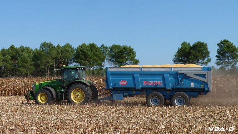 r_maïs grain_2018_01006.jpg