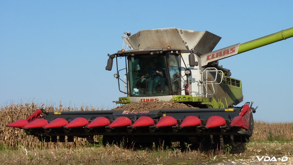 r_maïs grain_2018_02001.jpg
