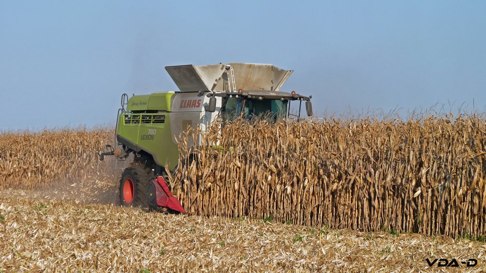 r_maïs grain_2018_02004.jpg