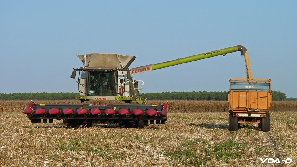 r_maïs grain_2018_02007.jpg