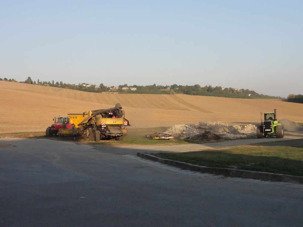 panther cover crop 007.JPG