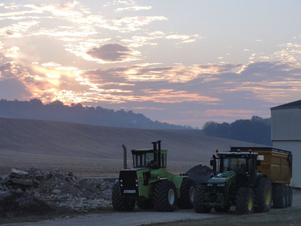 panther cover crop 009.JPG