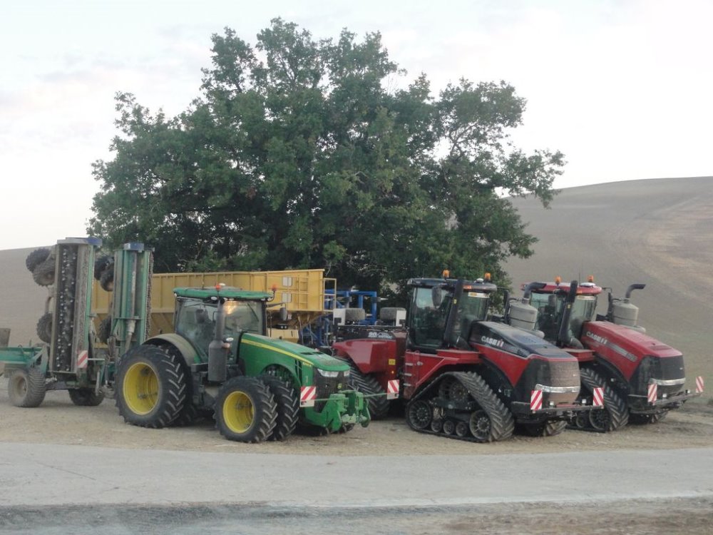 panther cover crop 011.JPG