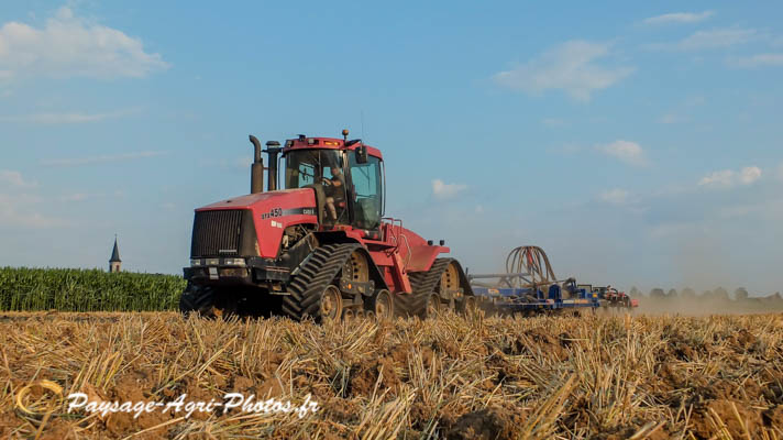 _DSF3849.JPG