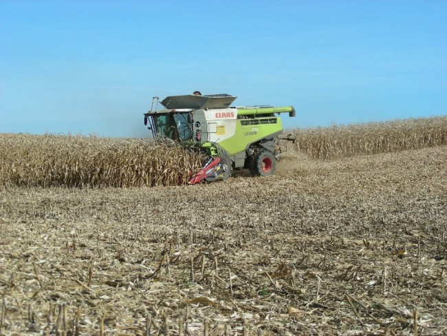 Claas Lexion 770G (1).JPG