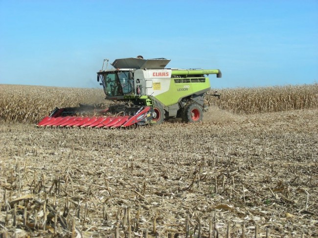Claas Lexion 770G (2).JPG