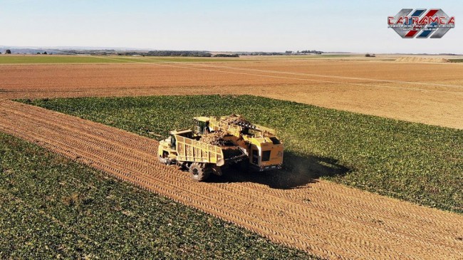 DJI_0161.jpg