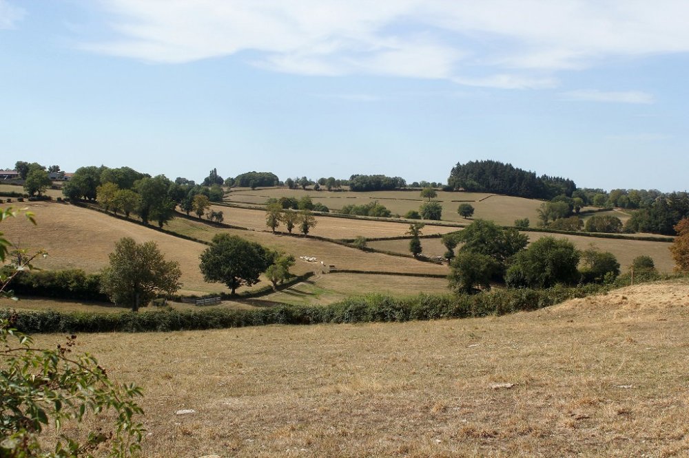 uaxy.jpg
