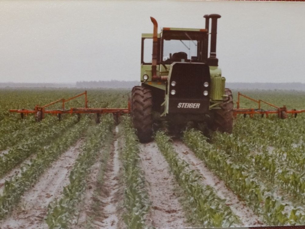 steiger mg 017.JPG