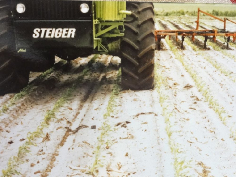 steiger mg 025.JPG