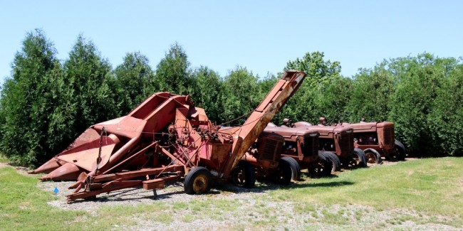 RB0A2465.JPG
