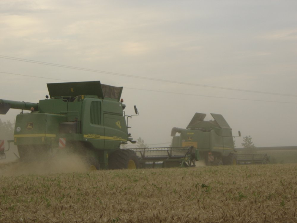 moisson08 (12).jpg