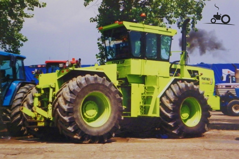 panther holland 2.jpg
