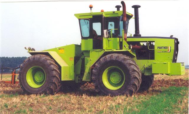 panther holland 3.jpg