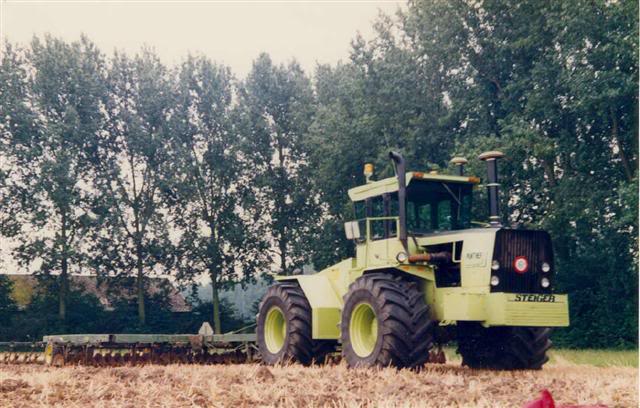 panther holland 6.jpg