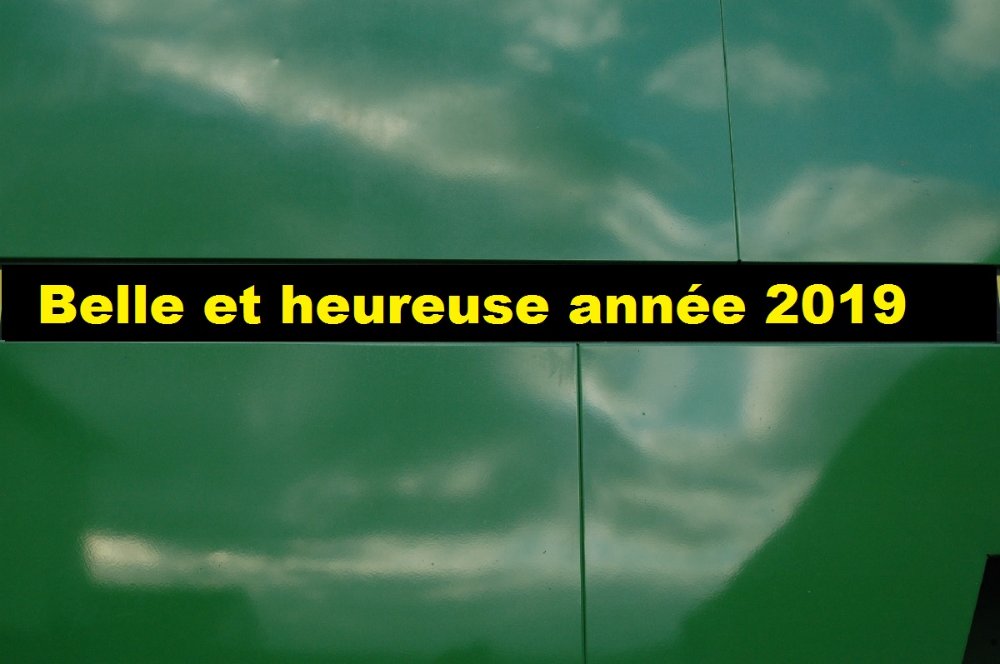 Voeux 2019 2.jpg
