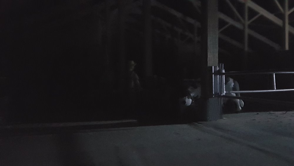 20190102_190324.jpg
