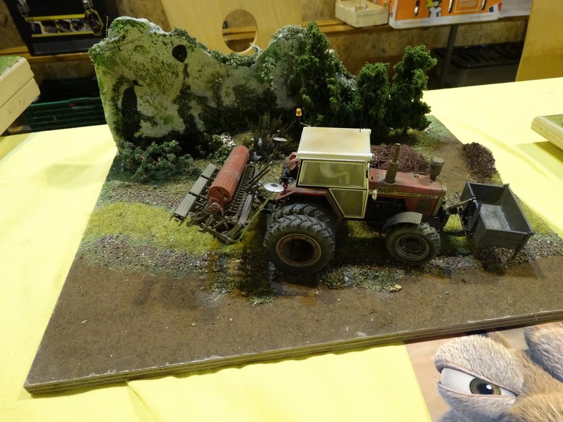 DSC05998 (Copier).JPG