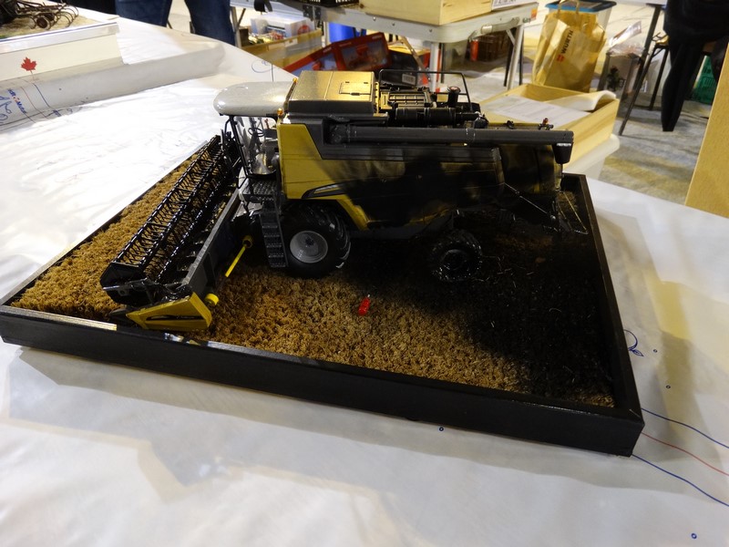DSC06076 (Copier).JPG