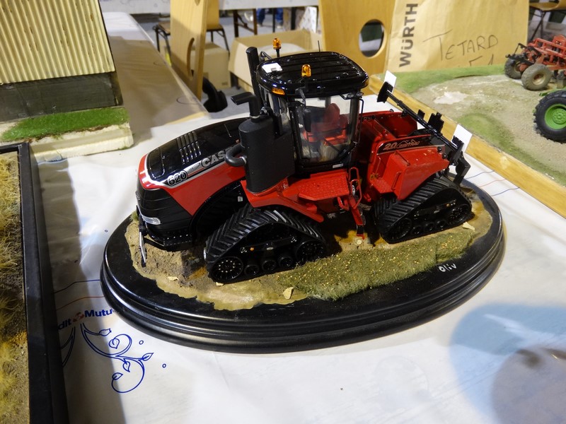 DSC06109 (Copier).JPG