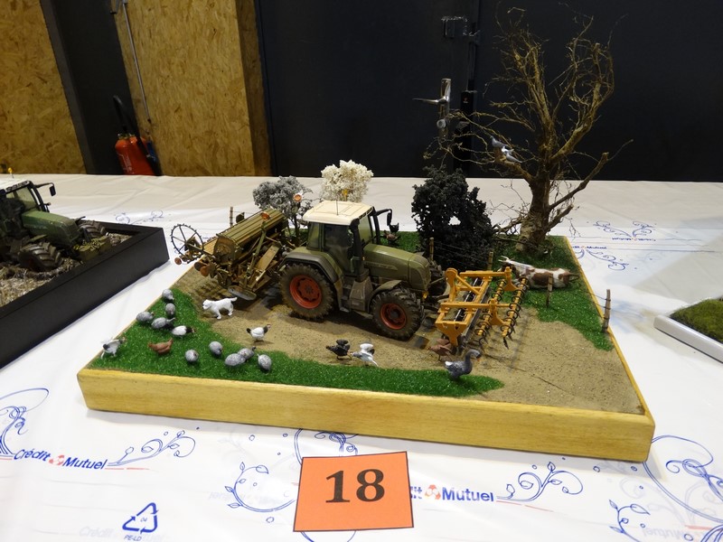 DSC06263 (Copier).JPG