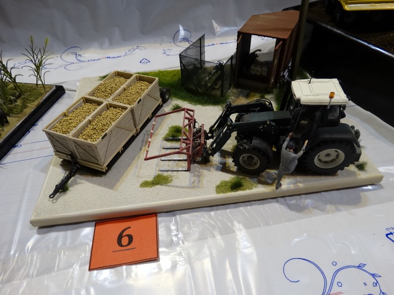 DSC06264 (Copier).JPG