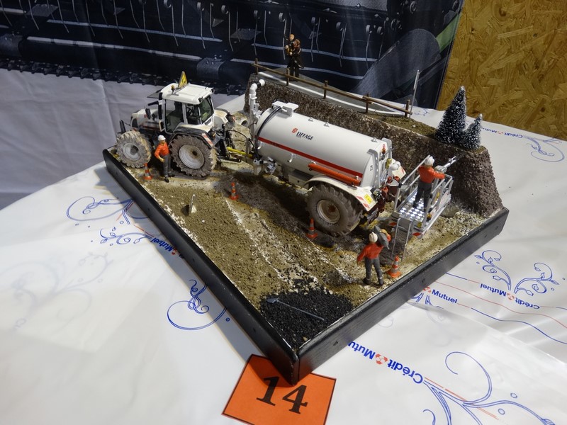 DSC06276 (Copier).JPG