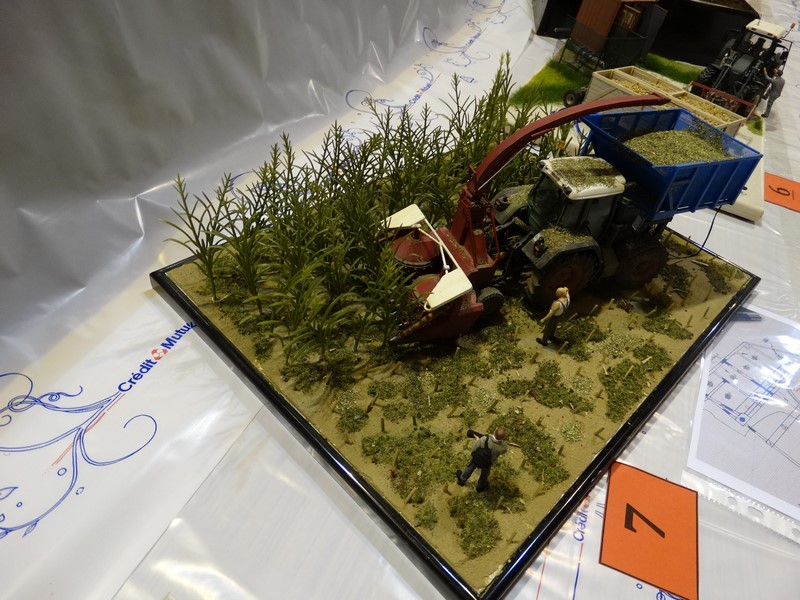 DSC06290 (Copier).JPG