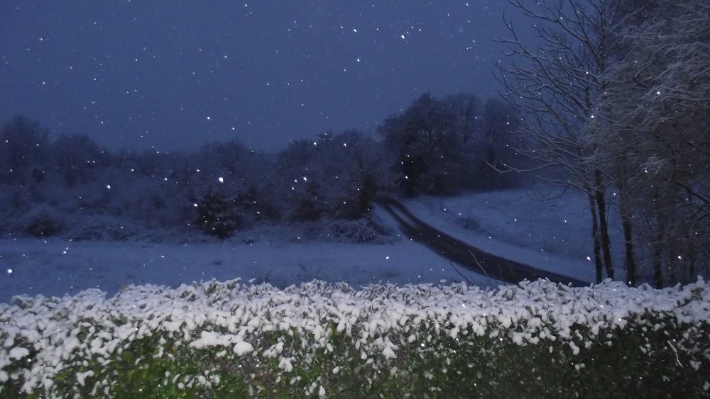 DSCF5789.JPG